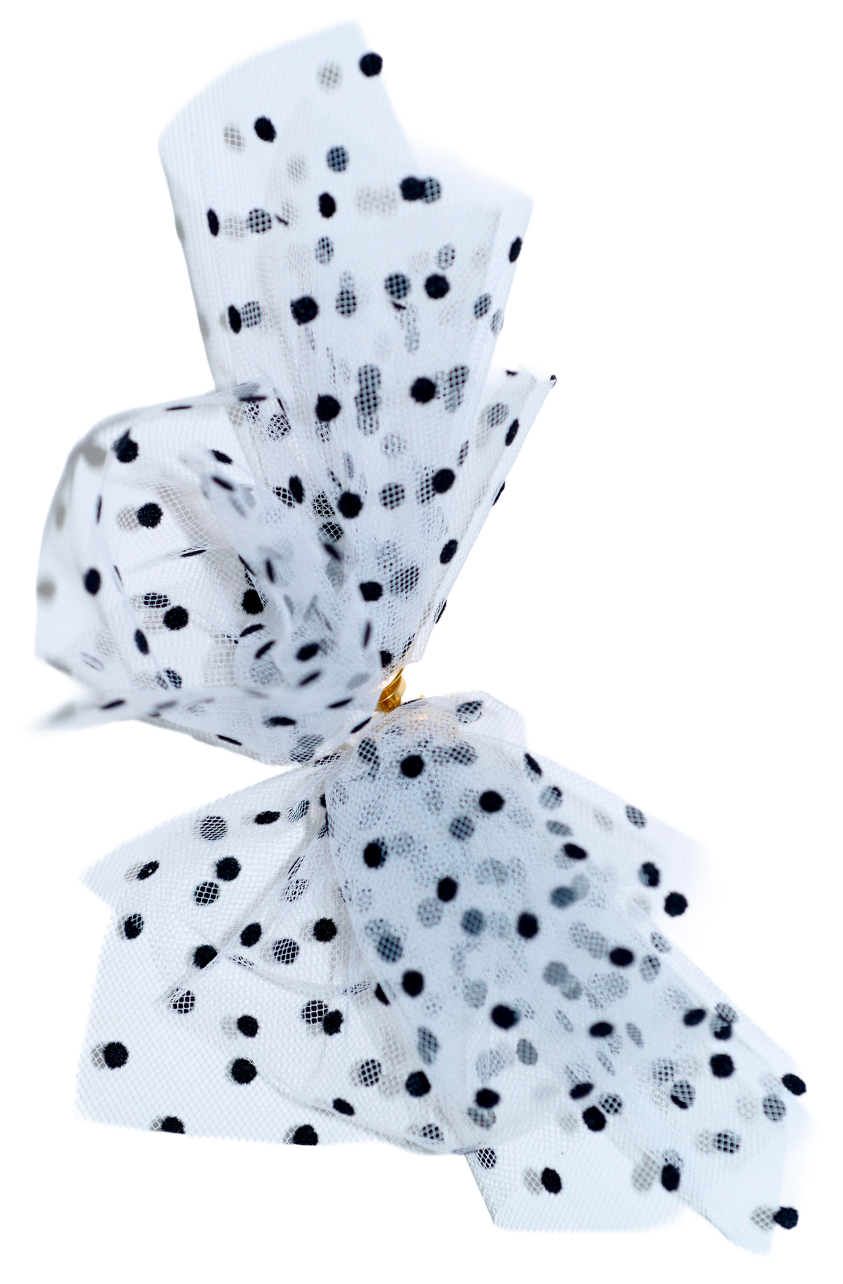 Bird earrings